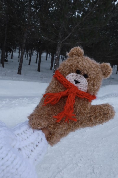 Hand-Knitted Gloves