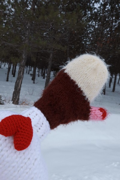 Hand-Knitted Gloves